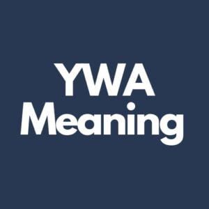 ywa meaninf|What Does YWA Mean in Texting (With Examples)